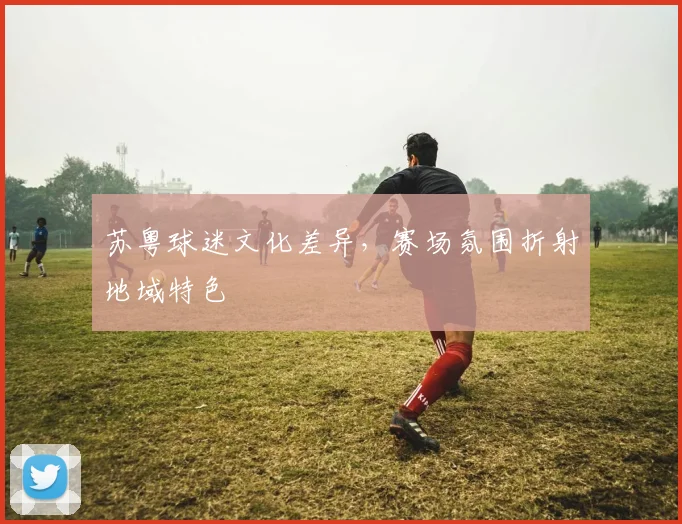 苏粤球迷文化差异，赛场氛围折射地域特色