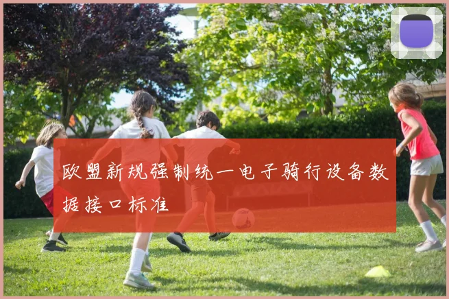 欧盟新规强制统一电子骑行设备数据接口标准