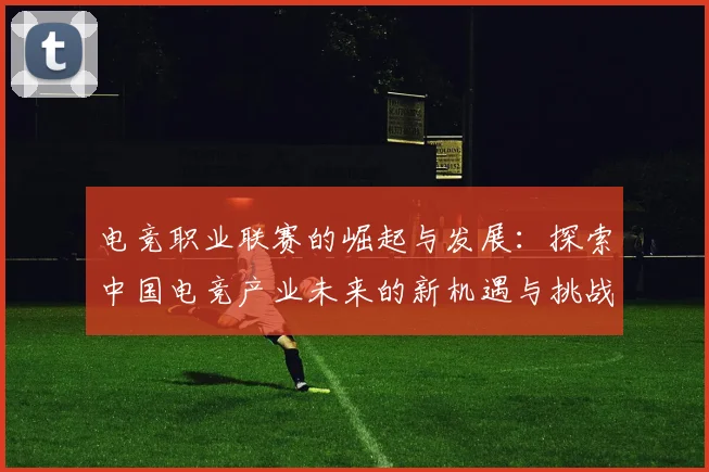 电竞职业联赛的崛起与发展：探索中国电竞产业未来的新机遇与挑战