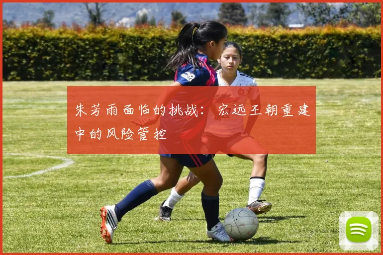 朱芳雨面临的挑战：宏远王朝重建中的风险管控