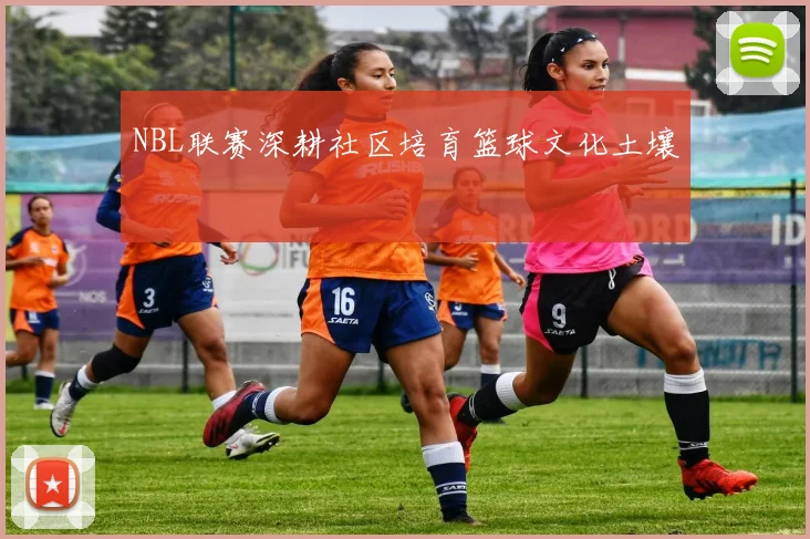 NBL联赛深耕社区培育篮球文化土壤