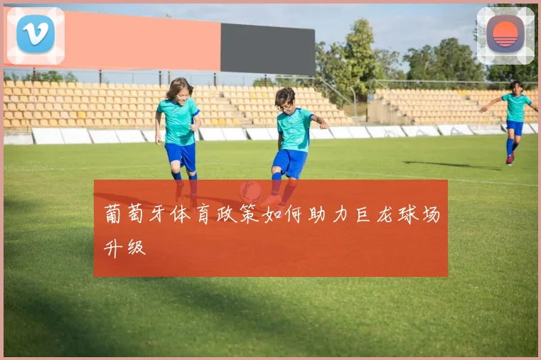 葡萄牙体育政策如何助力巨龙球场升级