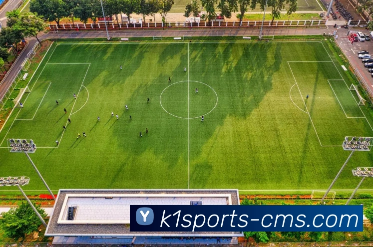 App Interface Preview